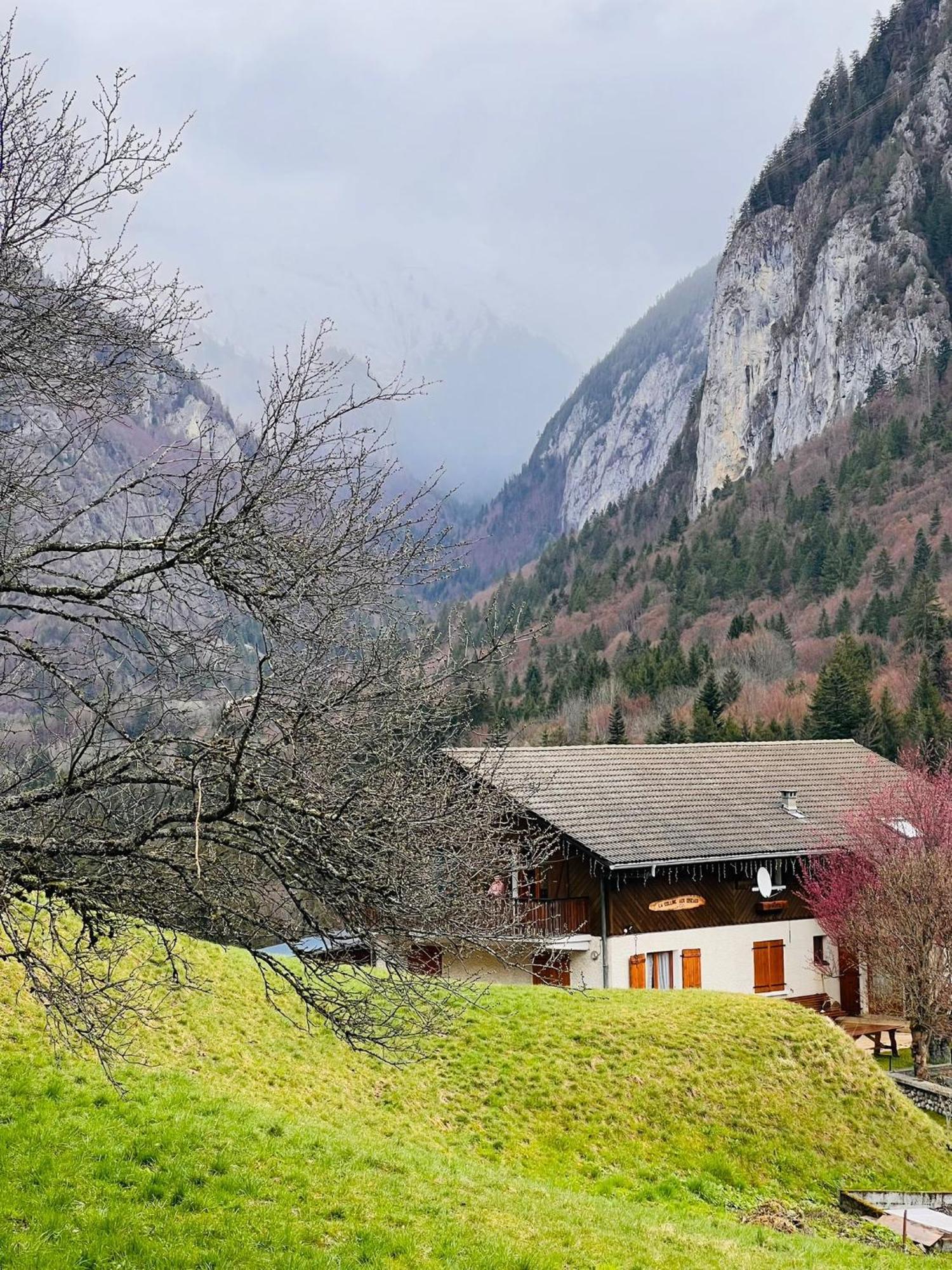 Chalet Du Bonheur Villa Bonnevaux  Kültér fotó