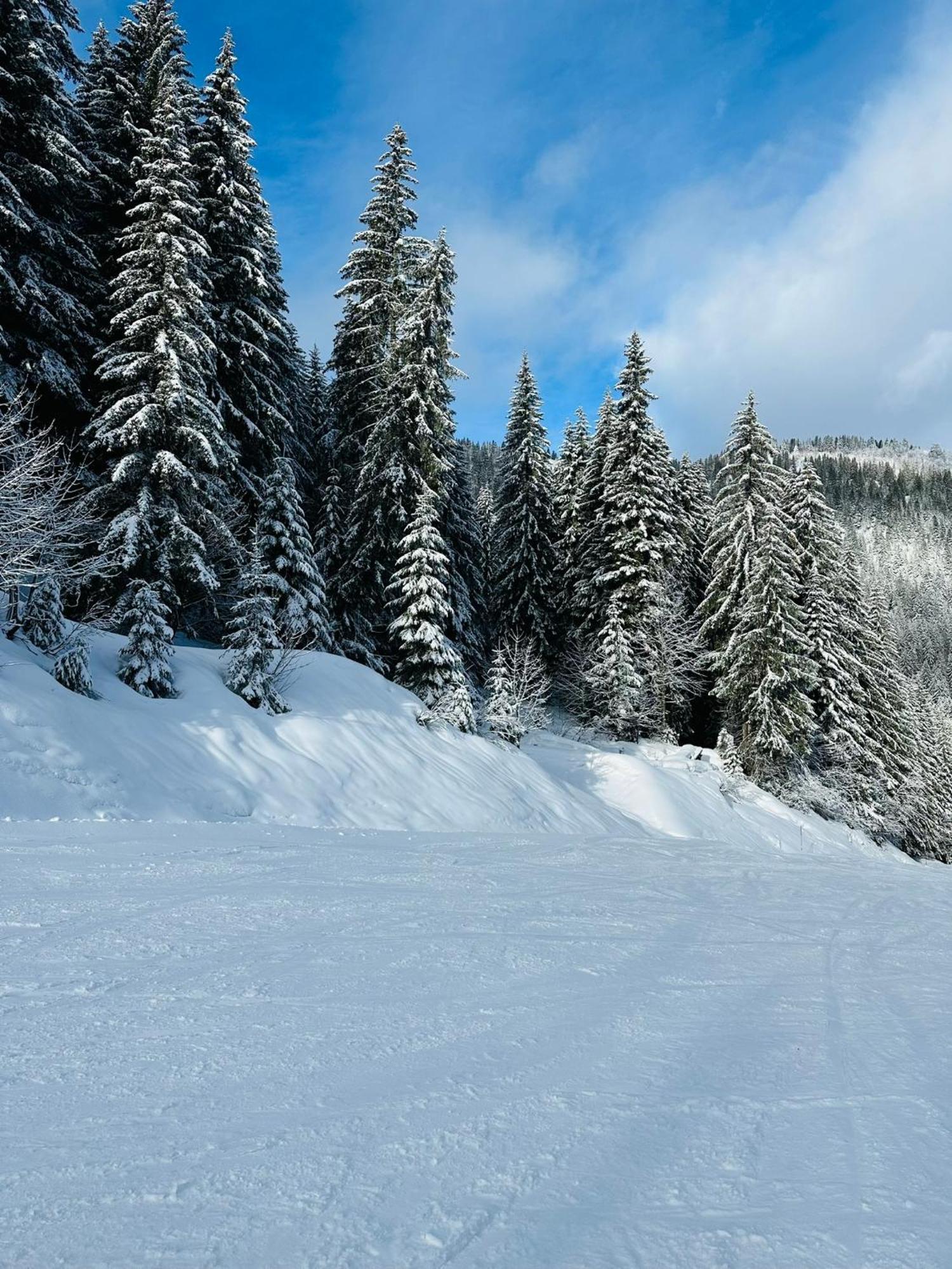 Chalet Du Bonheur Villa Bonnevaux  Kültér fotó